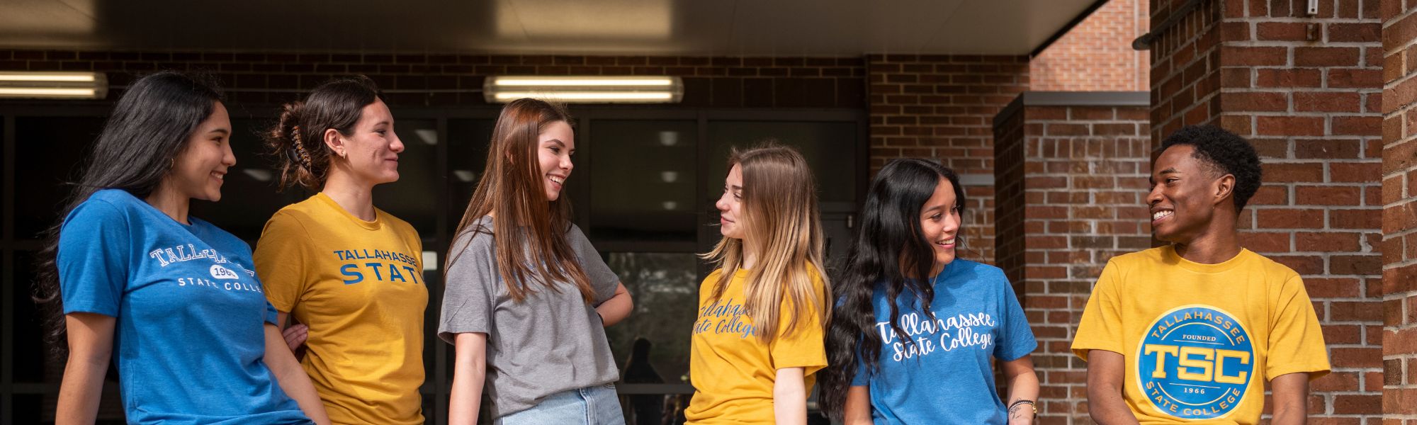 Six students standing in a line between brick pillars, talking and laughing together.